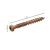 Grip Rite #9 x  3" Composite Deck Screws, Brown (1 lb Pack/12 Packs) #L3CSB1