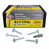 Pro-Twist #8 x 1-1/4" Modified Truss Head Screws, Phillips Head, Sharp Point, Fine Thread, Zinc, (1 lb Box/12 Boxes), #NMT2001