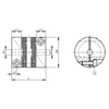 Kipp Beam Coupling w/Radial Clamping Hub, Size 50, L=65 mm,D1=15 mm,D2=15 mm, Stainless Steel, (Qty;1), K2038.0500651515