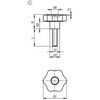 Kipp Star Grip, w/External Thread, Style L, M8X20 mm, D1=40 mm, H=24.5 mm, Thermoplastic, Electro Zinc-Plated, (Qty. 10), K1090.44008X20