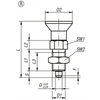 Kipp Indexing Plunger, w/Plastic Mushroom Grip and Locknut, Style B, Size 5, D=16 mm, D1=M24X2 mm, Stainless Steel, (Qty. 1), K0338.0251684