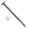 Big Timber #8 x 2-1/2" White T-20 Star Drive, Round Washer Head Cabinet Screws (5 lb Bucket) #5CAB8212W