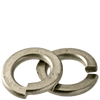 M14 Split Lock Washers A4 (316) Stainless (1500/Bulk Pkg.)
