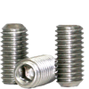 1/2"-20 x 3/4" Socket Set Screws Cup Point Fine 18-8 Stainless (50/Pkg.)