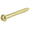 #6 x 1" Phillips Round Head Brass Wood Screw (1000/Pkg.)