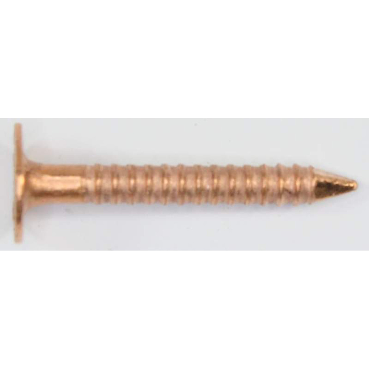 National Hardware N279-034 Spiral Trim Nails 7/8 Inch Brass Plated Steel:  Wire Nails Outlet (038613279032-3)