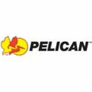 Pelican