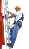 Honeywell Complete with Rail, Gated Top and Bottom End-Stops; 9 Ladder Attachment Brackets, 1/EA, #GG0050