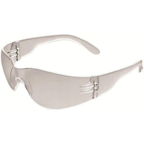 ERB Glasses, Clear Temples/Clear Anti-Fog Lens, 17510 (10 Pr.)