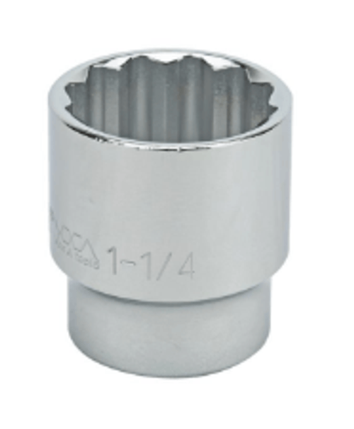 1 3/16" Standard 12 Point 1/2" Drive Sae Socket