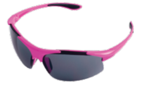 ERB Ella Girl Power At Work & ONE Nation Pink Frame Gray Lens (12/Pkg.) #WEL18040PIGY