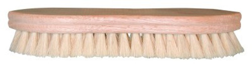 Magnolia Brush Pointed Scrub Brushes, 9 in Foam Plastic Block, 1 in Trim L, White Tampico, 12/EA, #161