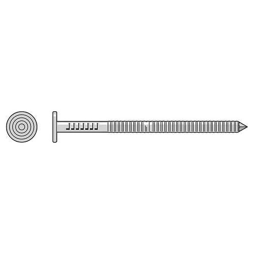 Simpson Strong Tie-T3KR7B, 3d, 1-1/4", 14 Gauge, Premium Siding Nails, 316 Stainless Steel, Annular Ring (25/LB)