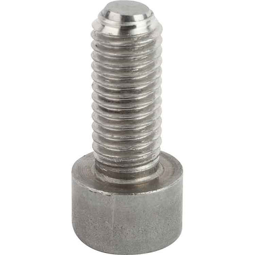 Kipp Ball End Thrust Screw w/Hexagon Socket Head, w/Flattened Ball, Style B, D=M06, L=30 mm, Stainless Steel, (Qty. 1), K0381.20630