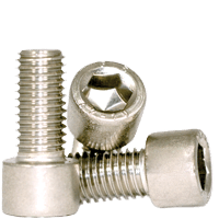 M6-1.00 x 55 mm Fully Threaded Socket Head Cap Screws, 316 Stainless Steel (A4) (100/Pkg.)