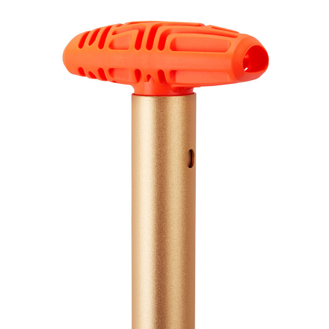 Mammut Alugator Light - golden