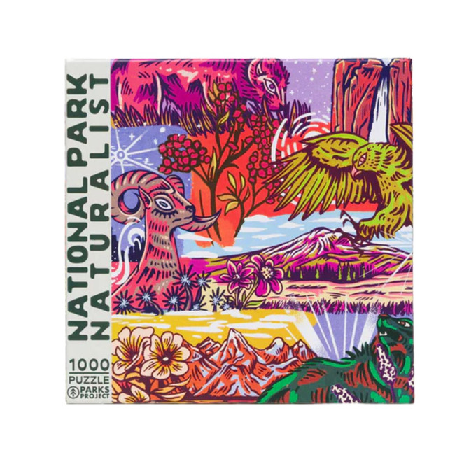 Parks Project National Park Naturalist Coaster Set - MLT