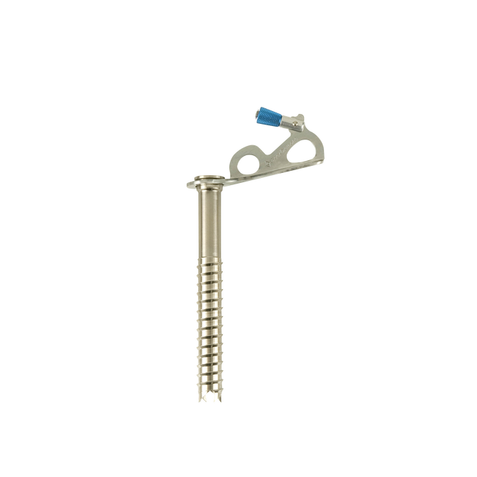 Black Diamond Express Ice Screw - 16 cm