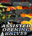 Assisted Opening Knives