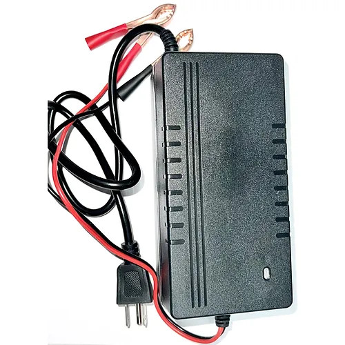 12v 10A LiFePO4 charger