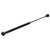 Sea-Dog Gas Filled Lift Spring - 20" - 120# [321492-1]