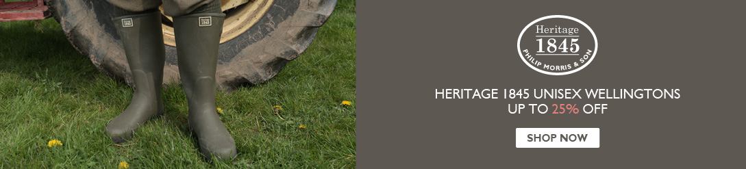 banner home