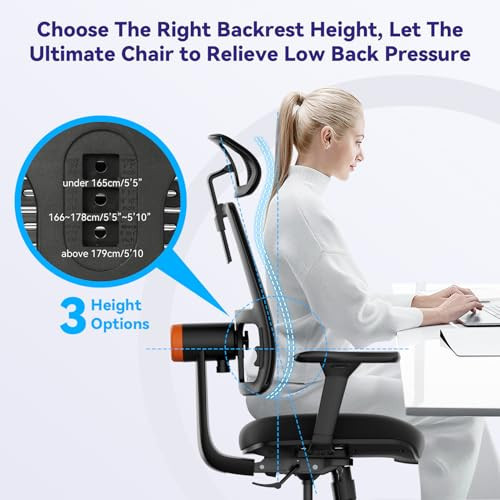 Humanspine Adaptive Office Chair, Lumbar Support, Adjustable