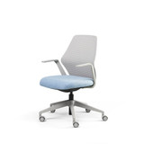 Alles Office Chair Fixed Arms