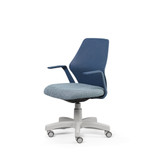 Alles Office Chair Adjustable Arms