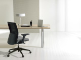 Parker Office Chair Adjustable Arms