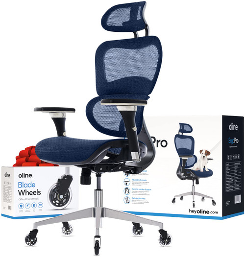 ErgoPro Ergonomic Office Chair - Rolling Desk Chair with 4D Adjustable Armrest, 3D Lumbar Support and Blade Wheels - Mesh Computer Chair, Gaming Chairs, Executive Swivel Chair (Navy Blue)