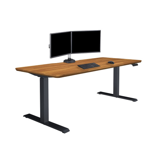 Classic Electric Standing Desk - Desk Height Adjustable Sit/Stand Desk - Dual Motor with Memory Presets, Stable Legs - Gaming, Home Office Workstation - 72x30 (Butcher Block/Slate Legs)