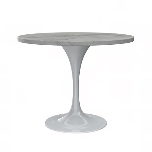 Modern Round Dining Table, White Resin Tabletop with Stainless Steel Pedestal Base, Contemporary Kitchen & Dining Room Table, Small Space Breakfast Nook Table (36 Inch)