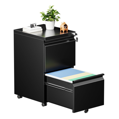 2 Drawer Mobile File Cabinet with Lock, Fully Assembled