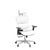 ErgoPro Ergonomic Office Chair with 4D Adjustable Armrest, 3D Lumbar Support and Blade Wheels - Mesh Computer Gaming Rolling Desk Executive Swivel Home Chair (White)