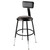 Premium Commercial-Grade All-Purpose Round Stool with Backrest (Height-Adjustable, 18–27 inch Range, Black Frame, Vinyl Padded Seat, 2-Pack)