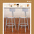 Premium Commercial-Grade All-Purpose Round Stool with Backrest (Height-Adjustable, 18–27 inch Range, Gray Frame, Masonite Wood Seat, 2-Pack)