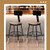 Premium Commercial-Grade All-Purpose Round Stool with Backrest (Height-Adjustable, 18–27 inch Range, Black Frame, Masonite Wood Seat, 2-Pack)