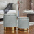 Round Ottoman Storage Set of 2 Velvet Ottoman for Living Room Small Foot Stool Small Coffee Table Vanity Stool with Storage for Bedroom Bedroom (Light Gray)
