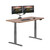 Electric Standing Desk - 60x30 Desk, Adjustable Height Stand Up Computer Desk - Dual Motor with Memory Presets, Stable T-Style Legs- Home Office Essentials - Walnut