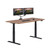 Classic Electric Standing Desk - Desk Height Adjustable Sit/Stand Desk - Dual Motor with Memory Presets, Stable T-Style Legs - Gaming or Home Office Workstation - 72”x30”, Walnut/Black
