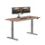 Electric Standing Desk - desk Height Adjustable Sit/Stand Desk - Dual Motor with Memory Presets, Stable T-Style Legs - Gaming or Home Office Workstation - 72”x30”, Walnut