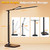 LED Desk Lamp for Office Home, Height Adjustable Architect Desk Light with USB Adapter, Stepless Dimming Desk Lamp Light for Reading, Study, Workbench