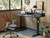 Standing Desk with Two Drawers, Stand Up Standing Desk Adjustable Height, Electric Sit Stand Table with Storage Shelf and Splice Board, 48 * 24 inch, Black