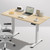 47.2 Inch Electric Standing Desk, Height Adjustable Sit Stand Up, Wood Desktop, Work Home Office Computer PC Desks, Gaming Writing Study Bedroom Rising Table, Nature