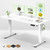 55 Inch Large Electric Standing Desk,Sit to Stand Up, Heights Adjustable, Work Home Office Computer Table for Study, Walking Pad, Writing, and Games, Wooden Desktop Desks, White