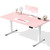 55 Inch Large Electric Standing Desk, 4 Memory Heights Adjustable,Sit to Stand Up, Work Home Office Computer Table for Study, Walking Pad, Writing, and Games, Wooden Desktop Desks, Pink