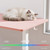 55 Inch Large Electric Standing Desk, 4 Memory Heights Adjustable,Sit to Stand Up, Work Home Office Computer Table for Study, Walking Pad, Writing, and Games, Wooden Desktop Desks, Pink