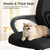Office Chair - Ergonomic Mid Back with Lumbar Support & Rocking Mode, Height Adjustable with Fixed Armrest, for Home, Computer, Gaming, Conference, Meeting, 360° Swivel, Black, 2 Pack