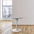 Modern Round Dining Table, White Resin Tabletop with Stainless Steel Pedestal Base, Contemporary Kitchen & Dining Room Table, Small Space Breakfast Nook Table (27 Inch)